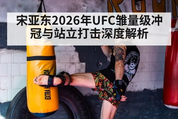 宋亚东2026年UFC雏量级冲冠与站立打击深度解析
